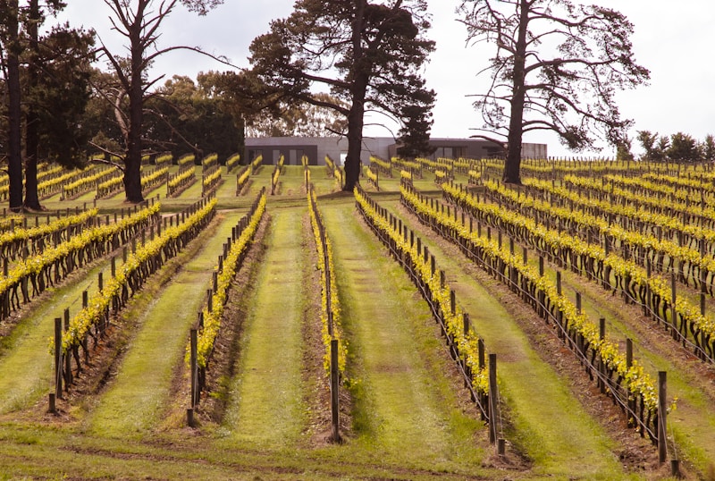 Browse accessible Wine Tours venues across Australia