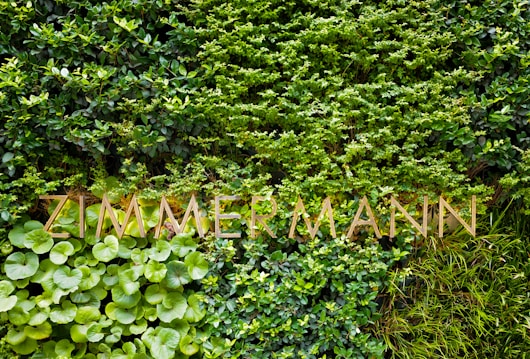 A vertical garden features a variety of lush green plants with diverse leaf shapes and sizes. The word 'ZIMMERMANN' is prominently displayed in elegant gold letters across the foliage.