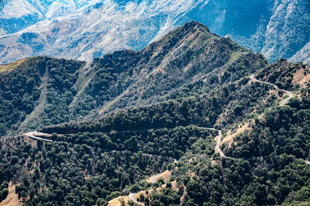 A winding mountain trail surrounded by lush green trees under a bright blue sky