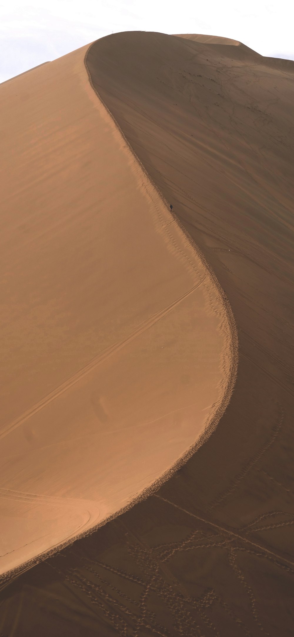 a person riding a horse in the middle of a desert