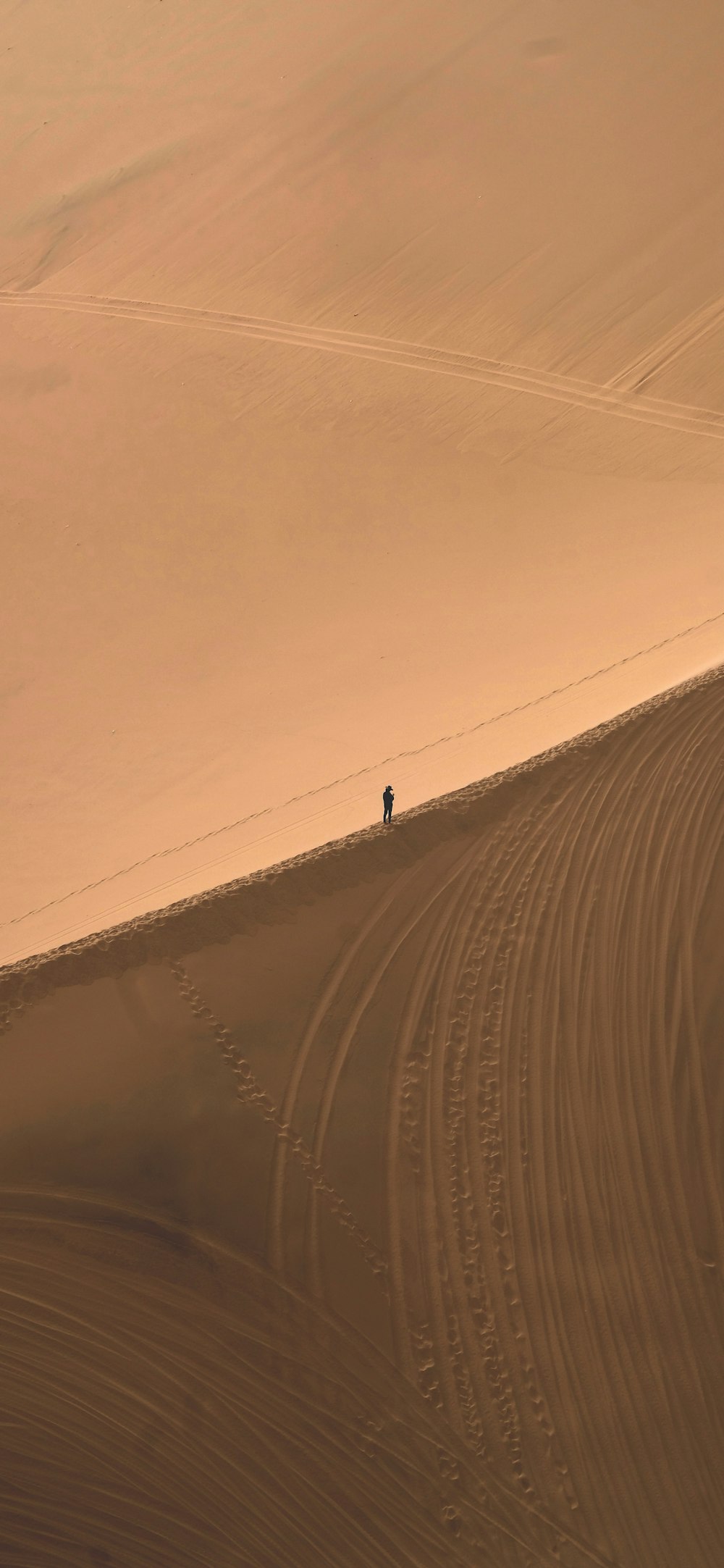 a lone person walking across a desert landscape