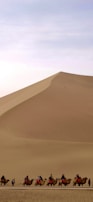 A group of friends laughing atop a dune as a camel caravan passes in the distance under a clear blue sky.