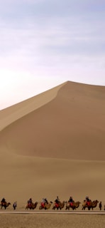 A group of friends laughing atop a dune as a camel caravan passes in the distance under a clear blue sky.