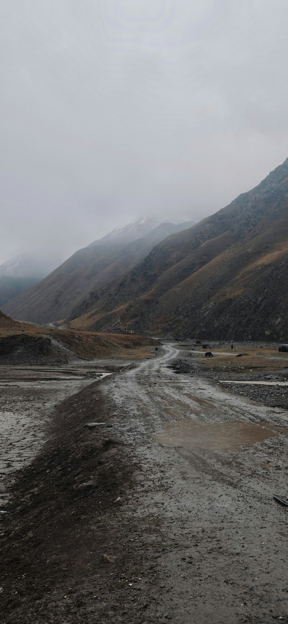 a dirt road with a mountain in the background