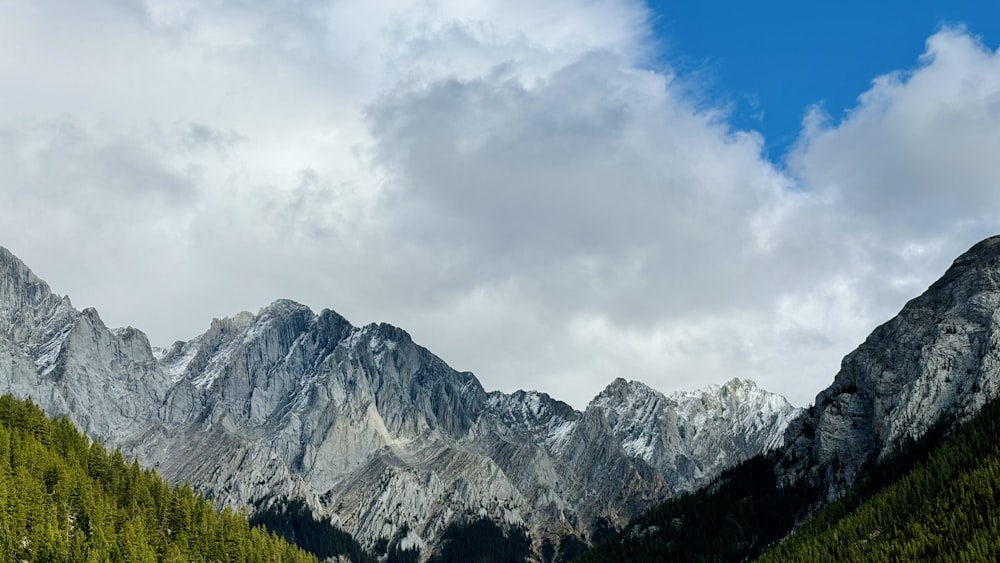 a view of a mountain range with trees in the foreground