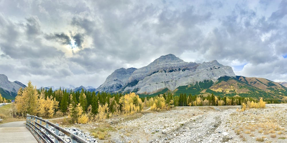 a wooden walkway leading to a mountain range