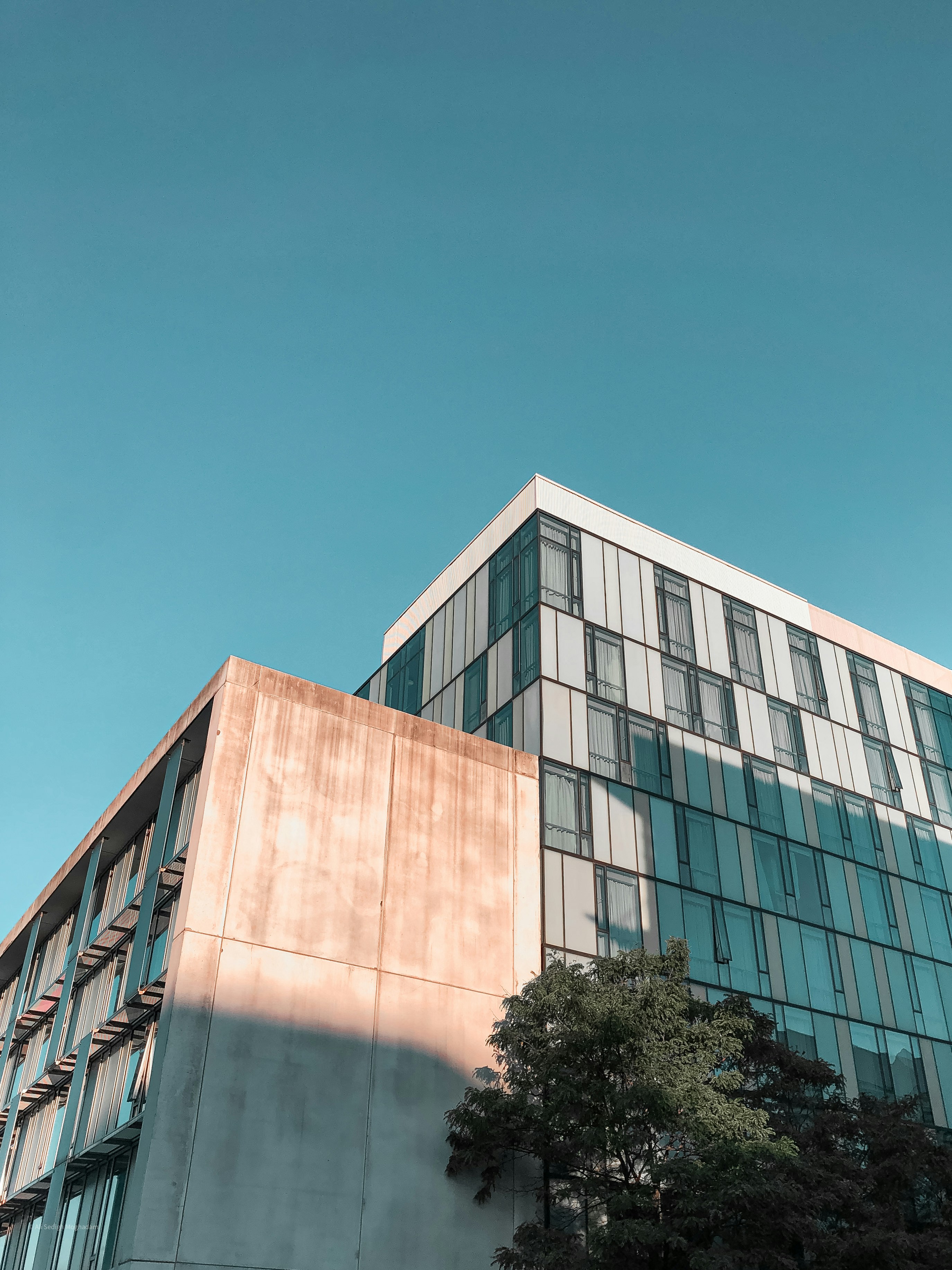 Photo by alisedighmoghadam