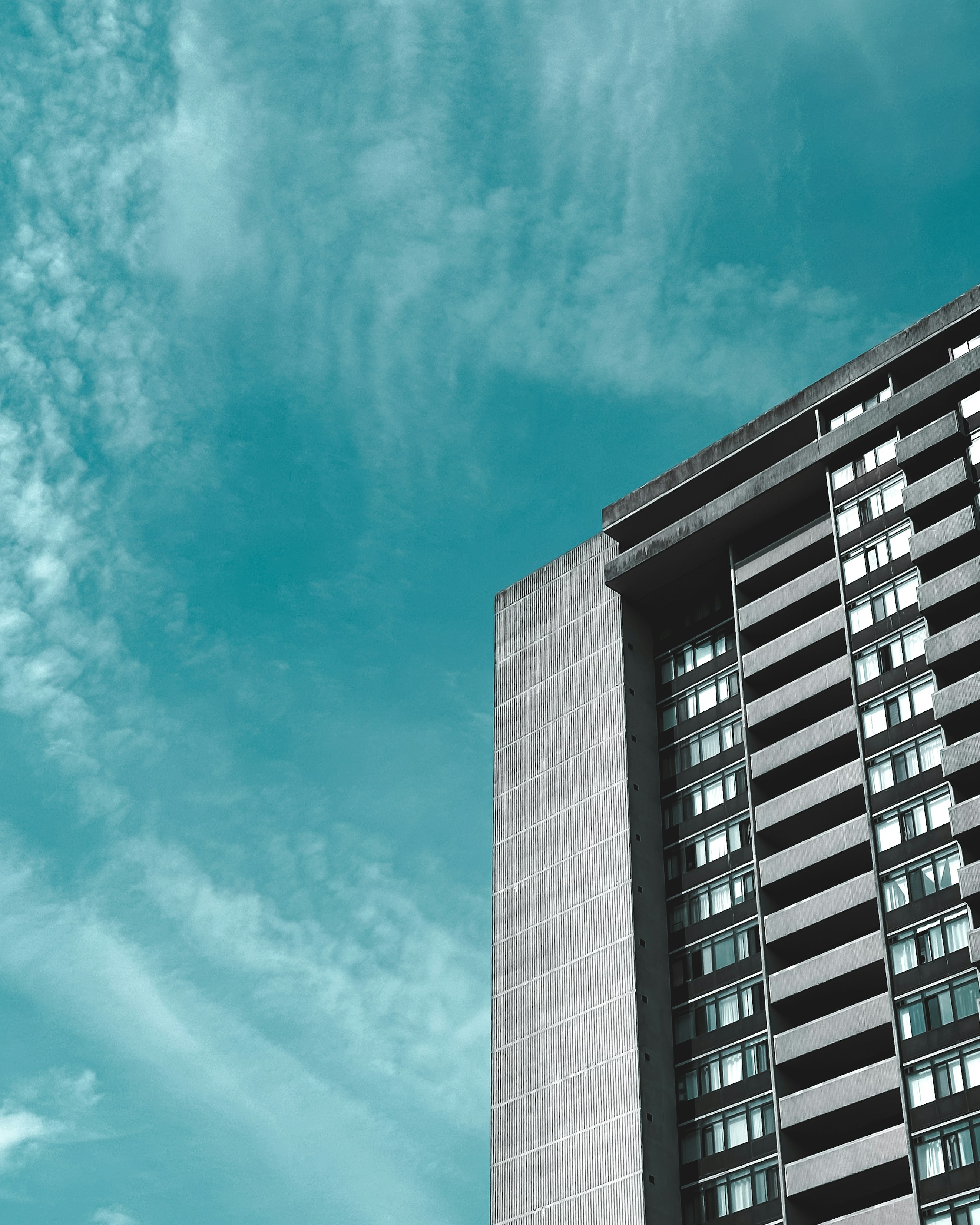 Photo by alisedighmoghadam