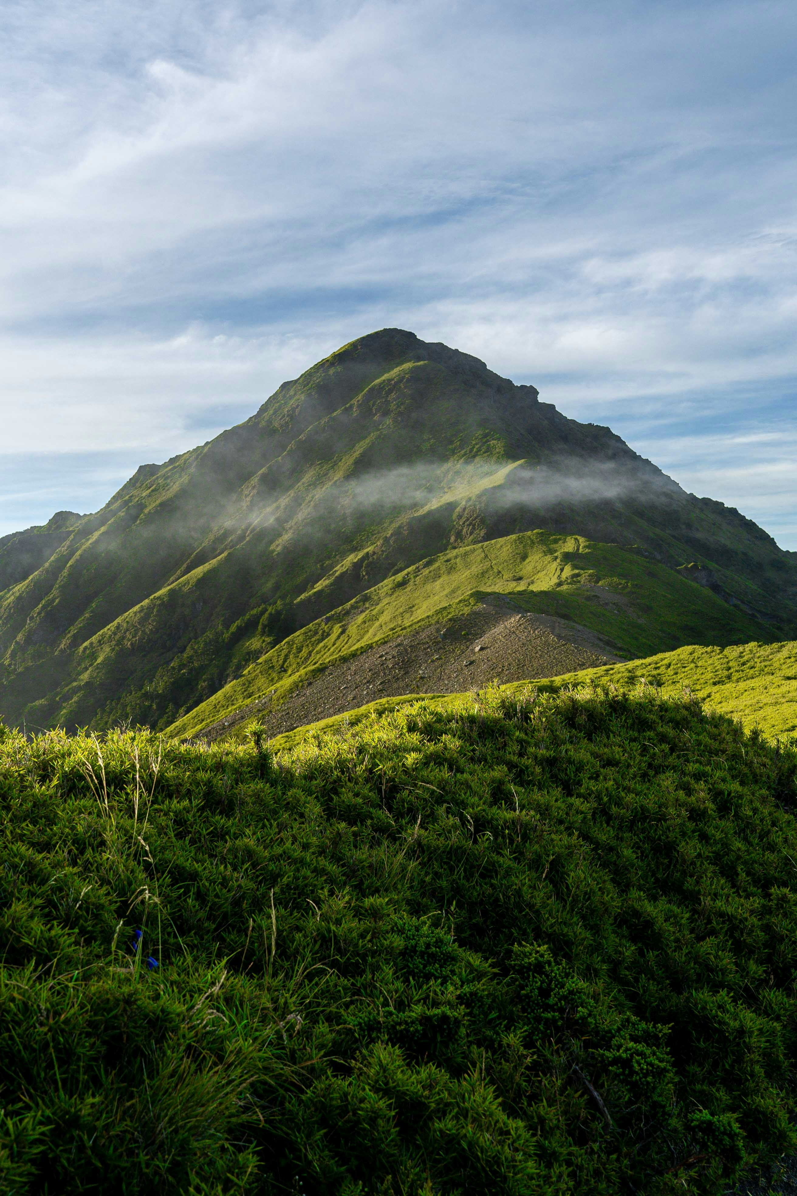 uma colina verde exuberante com uma montanha ao fundo