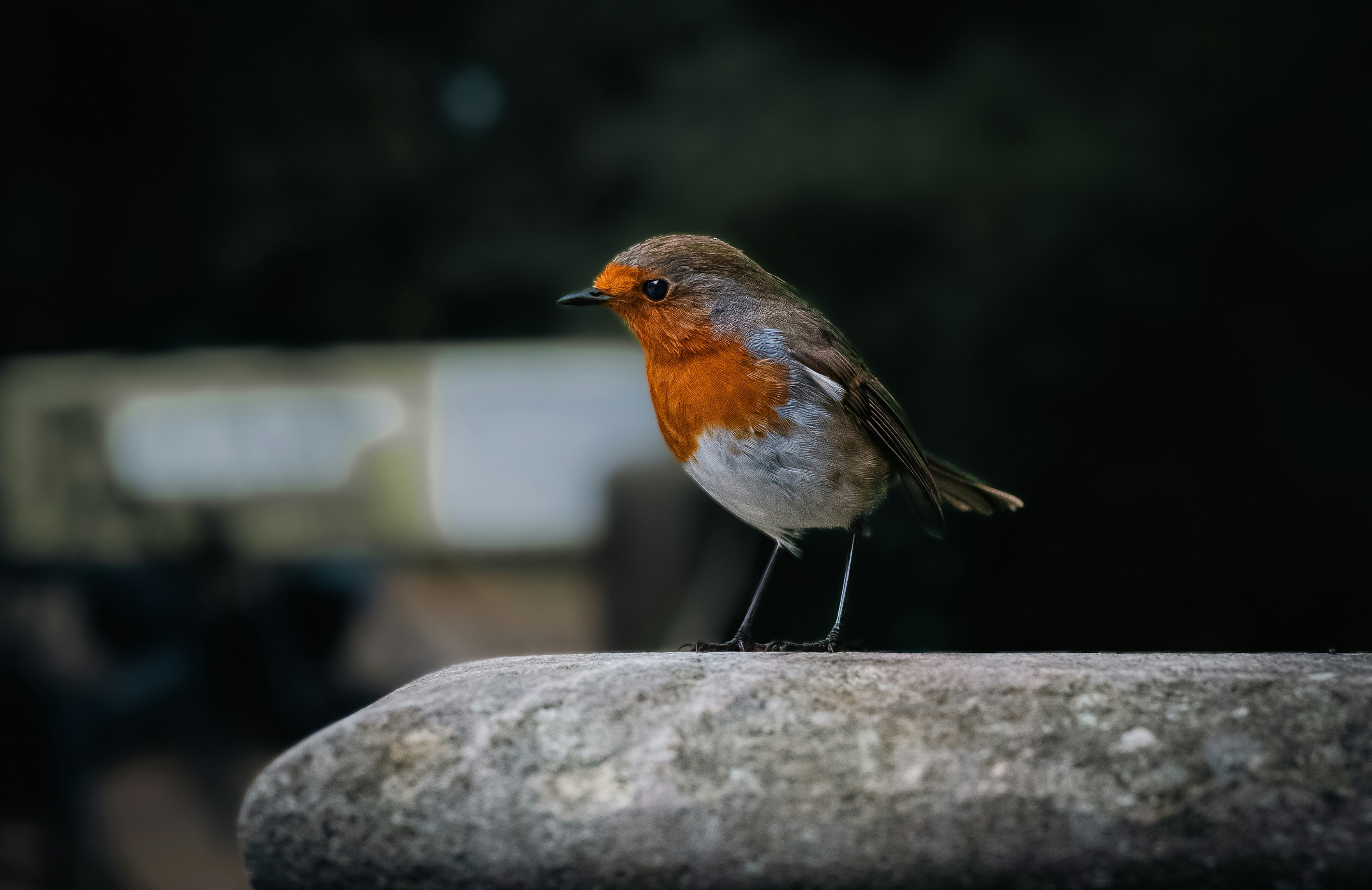 a small bird sitting on top of a stone pillar