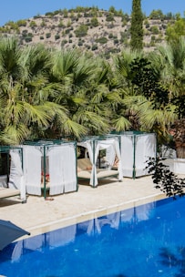 A serene outdoor setting features a clear, blue swimming pool surrounded by lush green palm trees. Cabana-style day beds with white drapes are positioned alongside the pool, offering a luxurious and relaxing atmosphere. In the background, a hilly landscape with sparse greenery and a bright blue sky is visible.