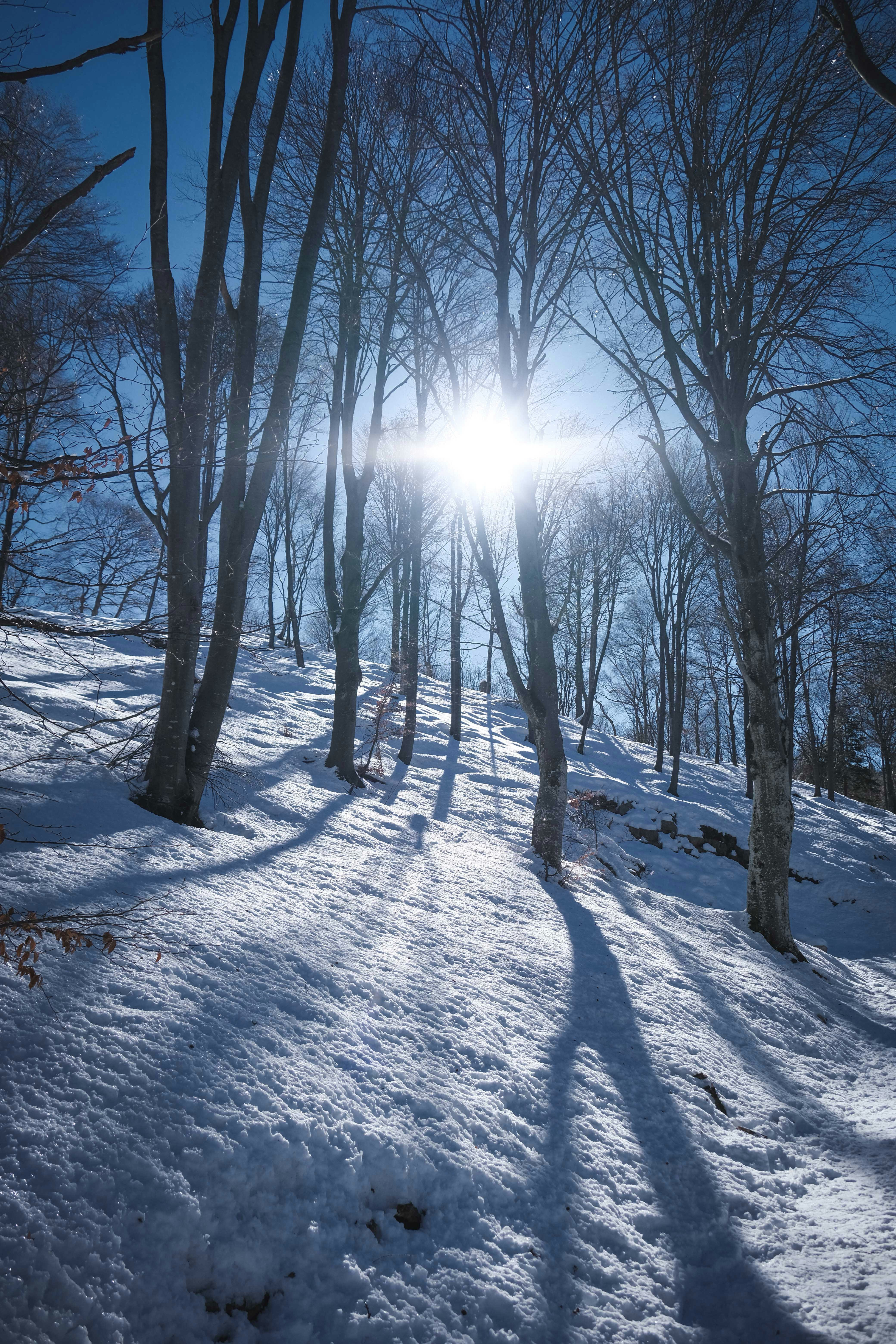 Photo by francesco_ungaro