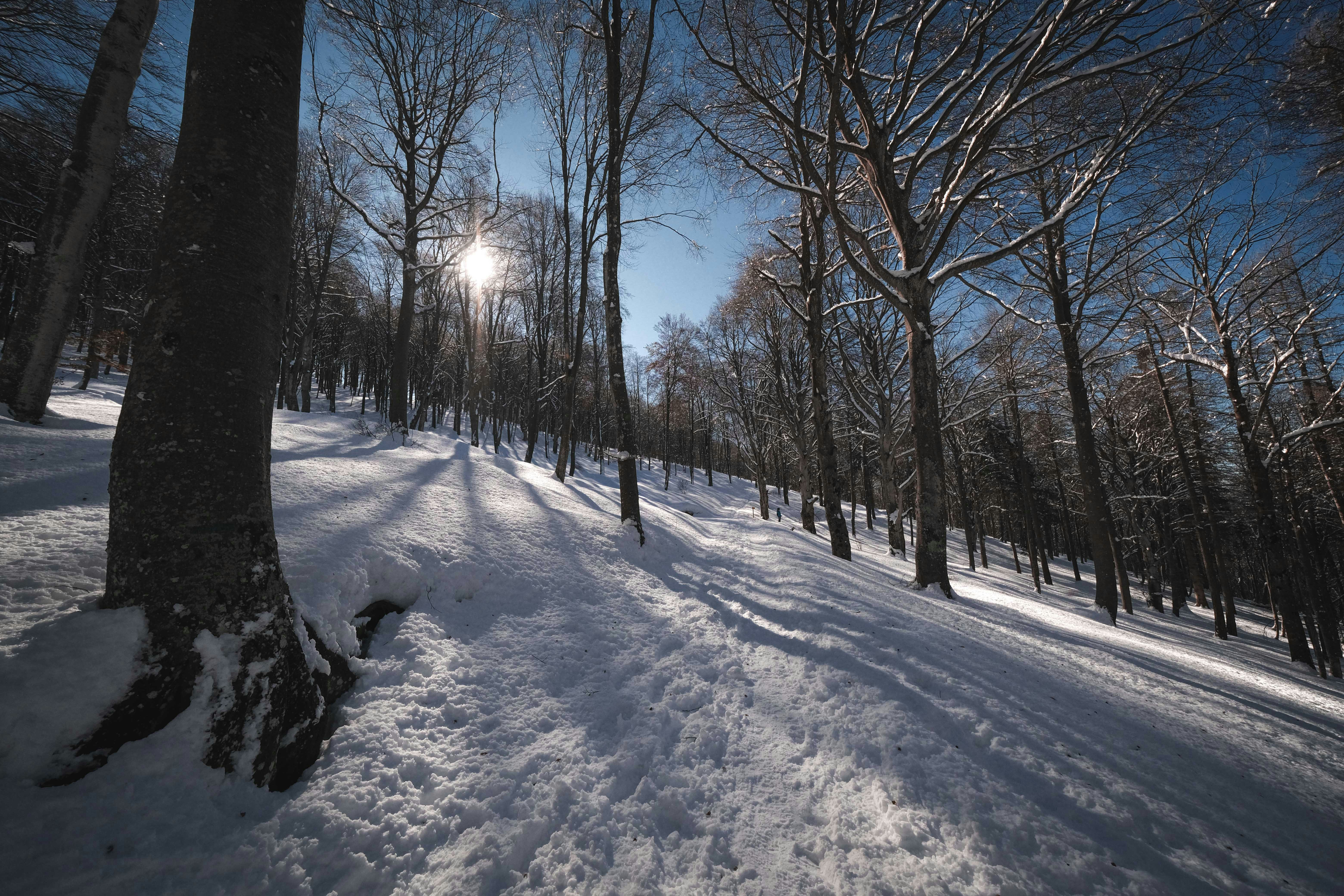 Photo by francesco_ungaro