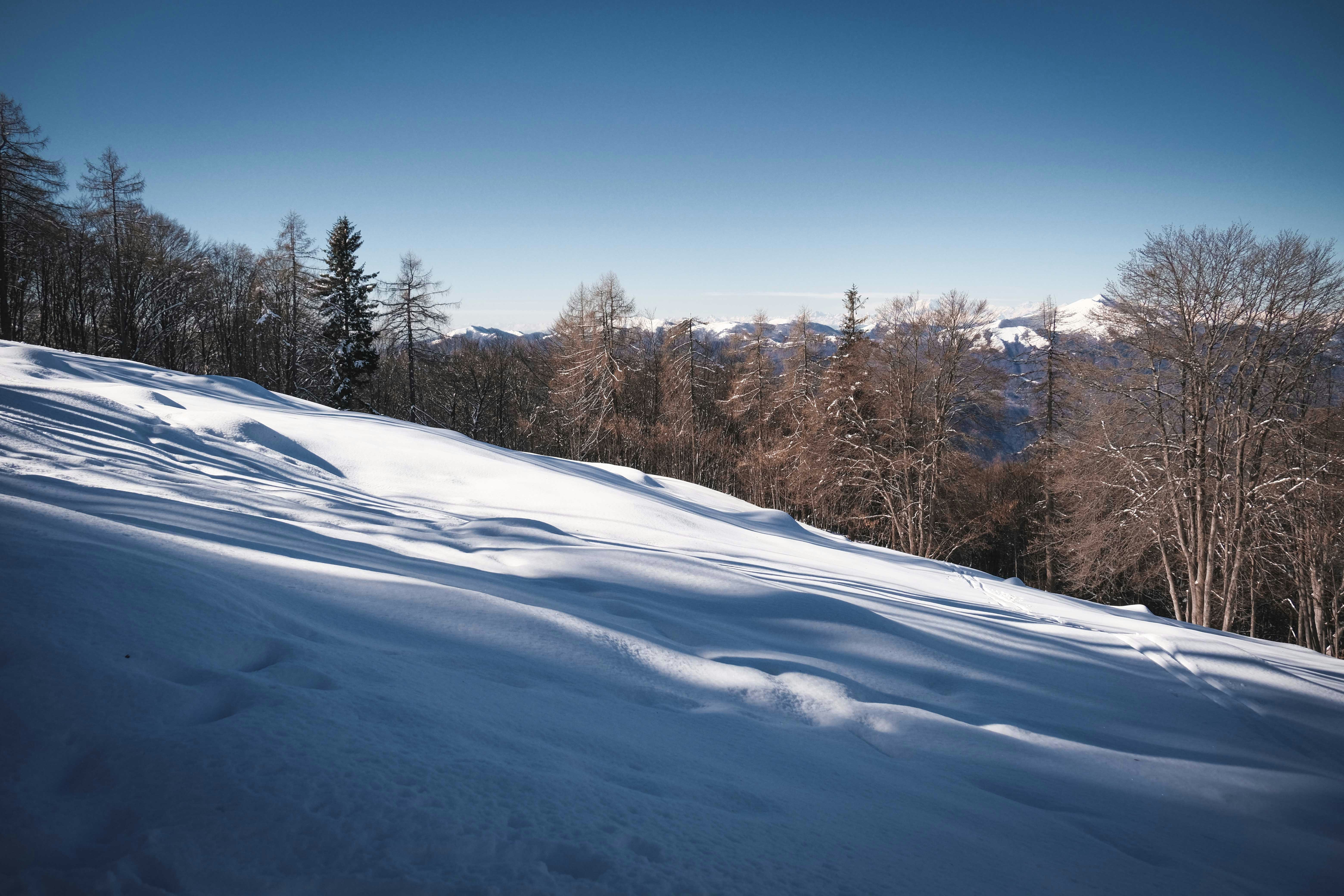 Photo by francesco_ungaro