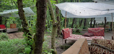 A cozy outdoor seating area with handmade wooden furniture overlooking a serene forest.