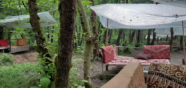 A tranquil outdoor setting with cushions and speakers nestled among trees for an open-air retreat.