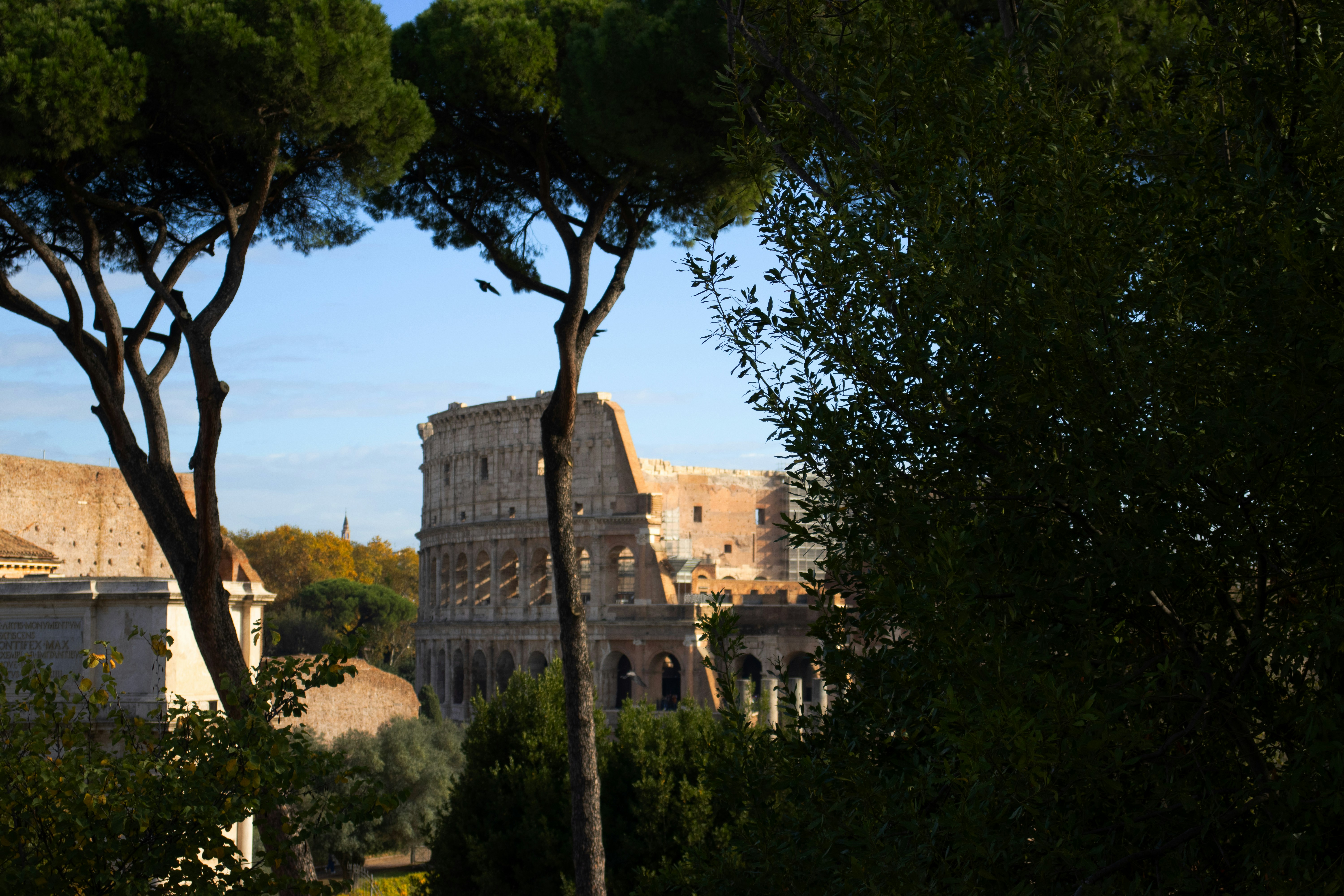 Photo by mariiiaaa707