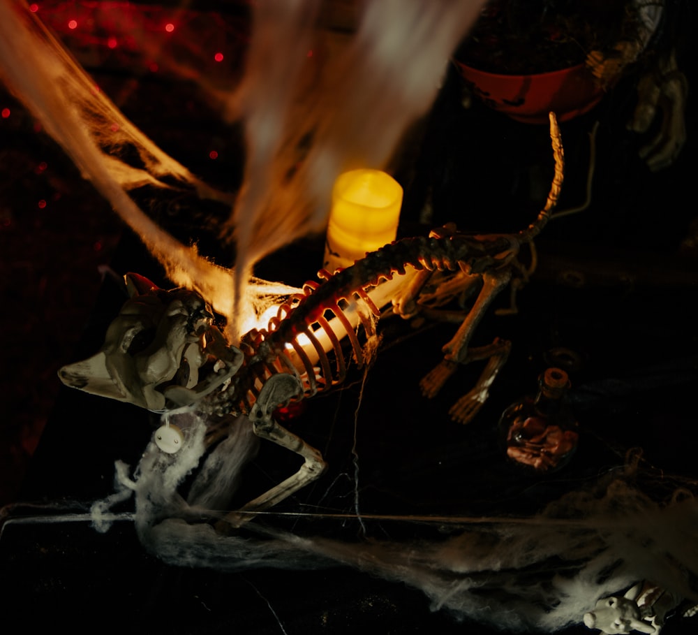 a skeleton of a bird is lit up by a candle