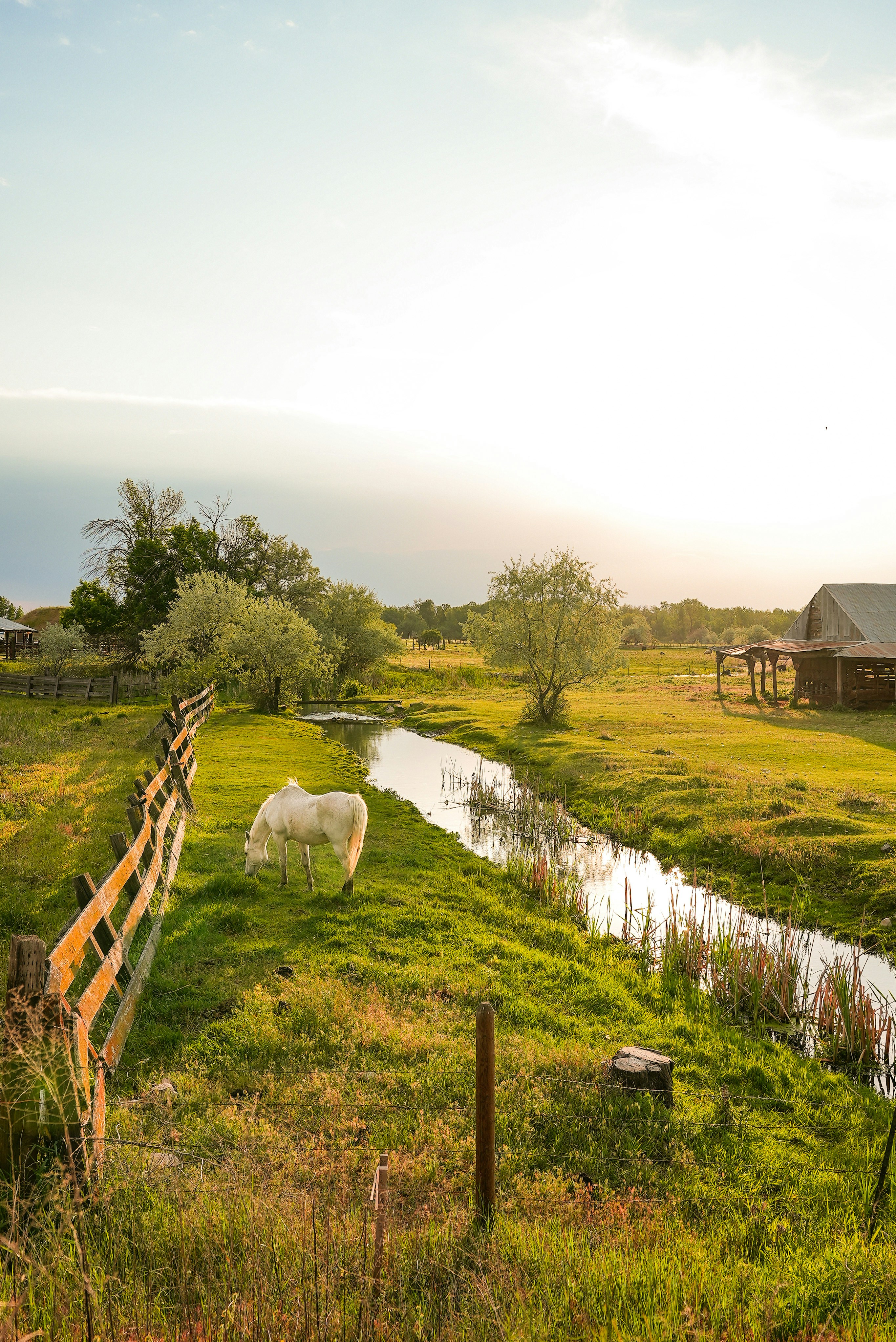 Photo by ashesofwild