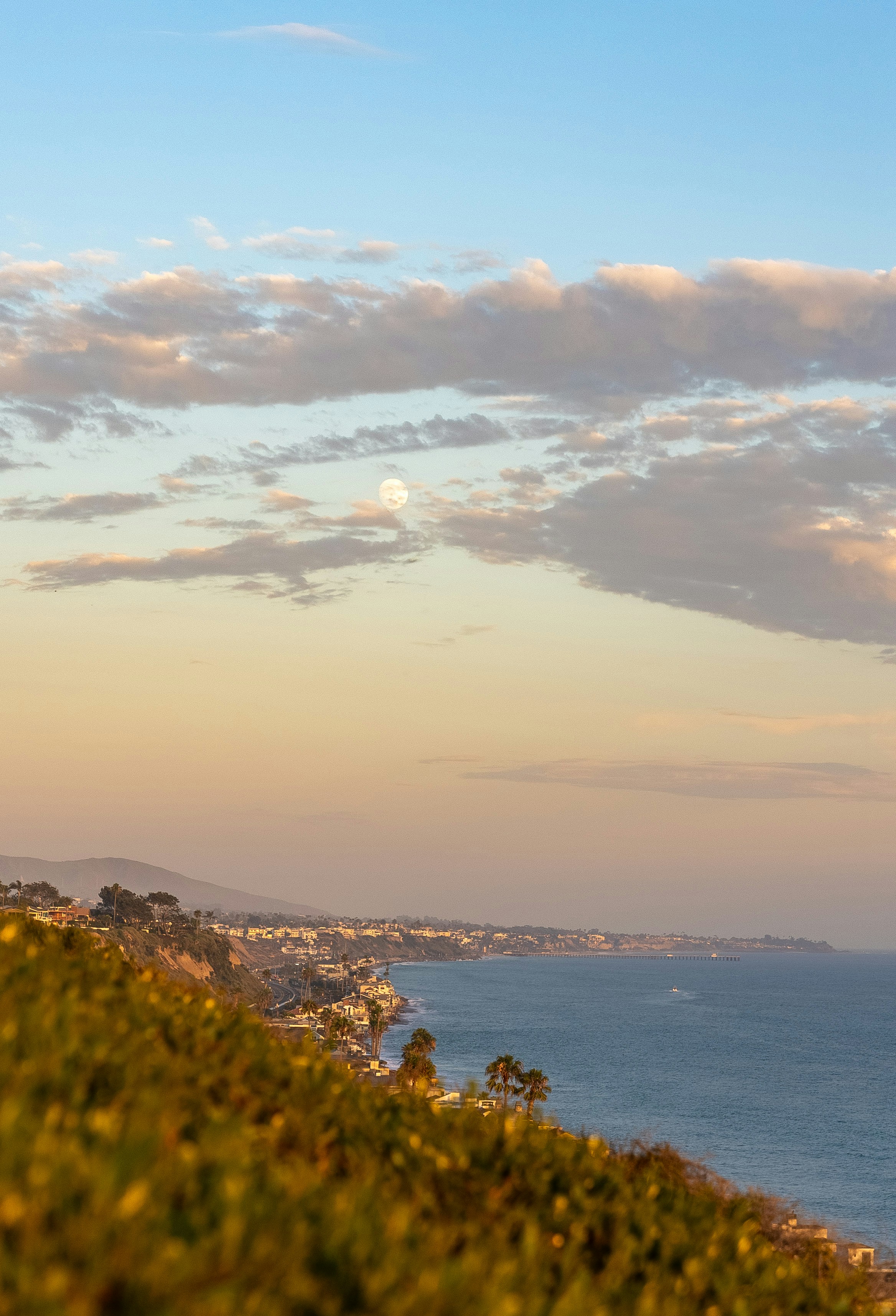 Photo by ashesofwild