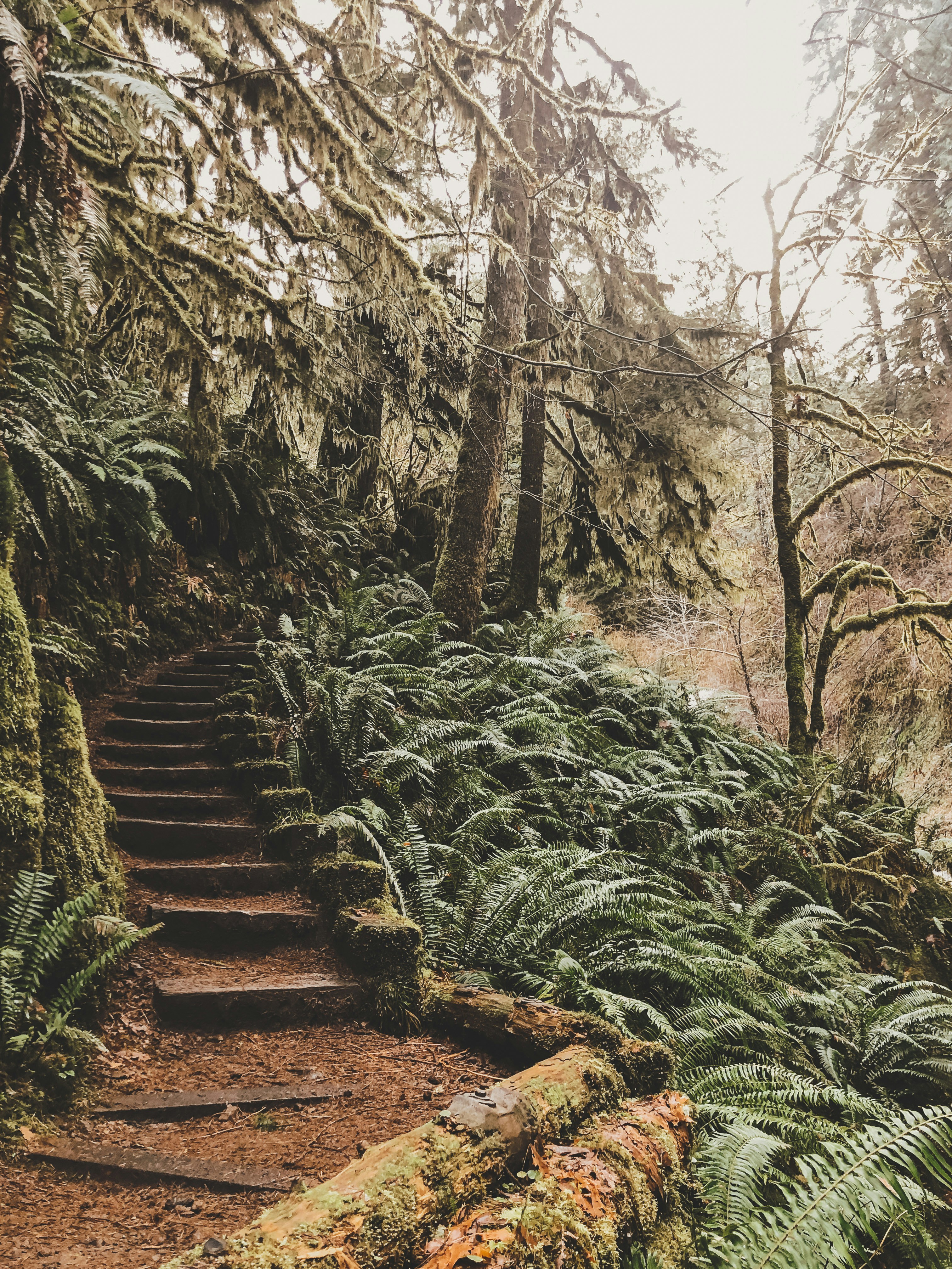 Photo by ashesofwild