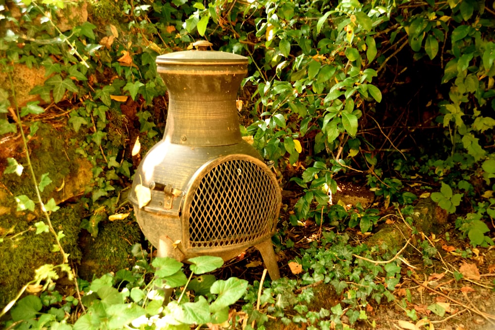 a rusted out stove sitting in the middle of a forest