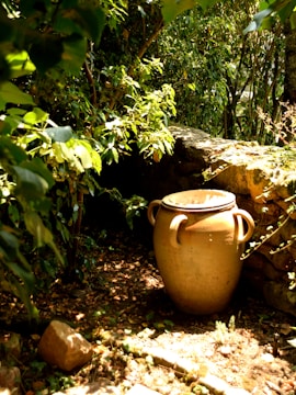 A large, terracotta urn with two handles is set against a backdrop of lush green foliage and a rustic stone wall. The setting is dappled with sunlight, creating a warm and serene atmosphere. The urn is placed on a ground scattered with leaves and small stones, suggesting a natural garden environment.