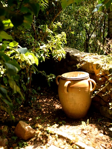 A large, terracotta urn with two handles is set against a backdrop of lush green foliage and a rustic stone wall. The setting is dappled with sunlight, creating a warm and serene atmosphere. The urn is placed on a ground scattered with leaves and small stones, suggesting a natural garden environment.