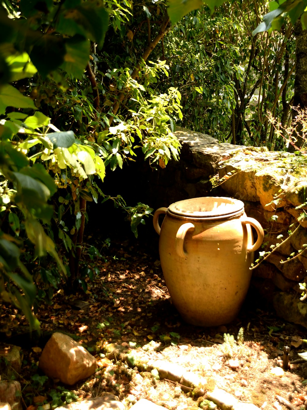 a large brown pot sitting in the middle of a forest