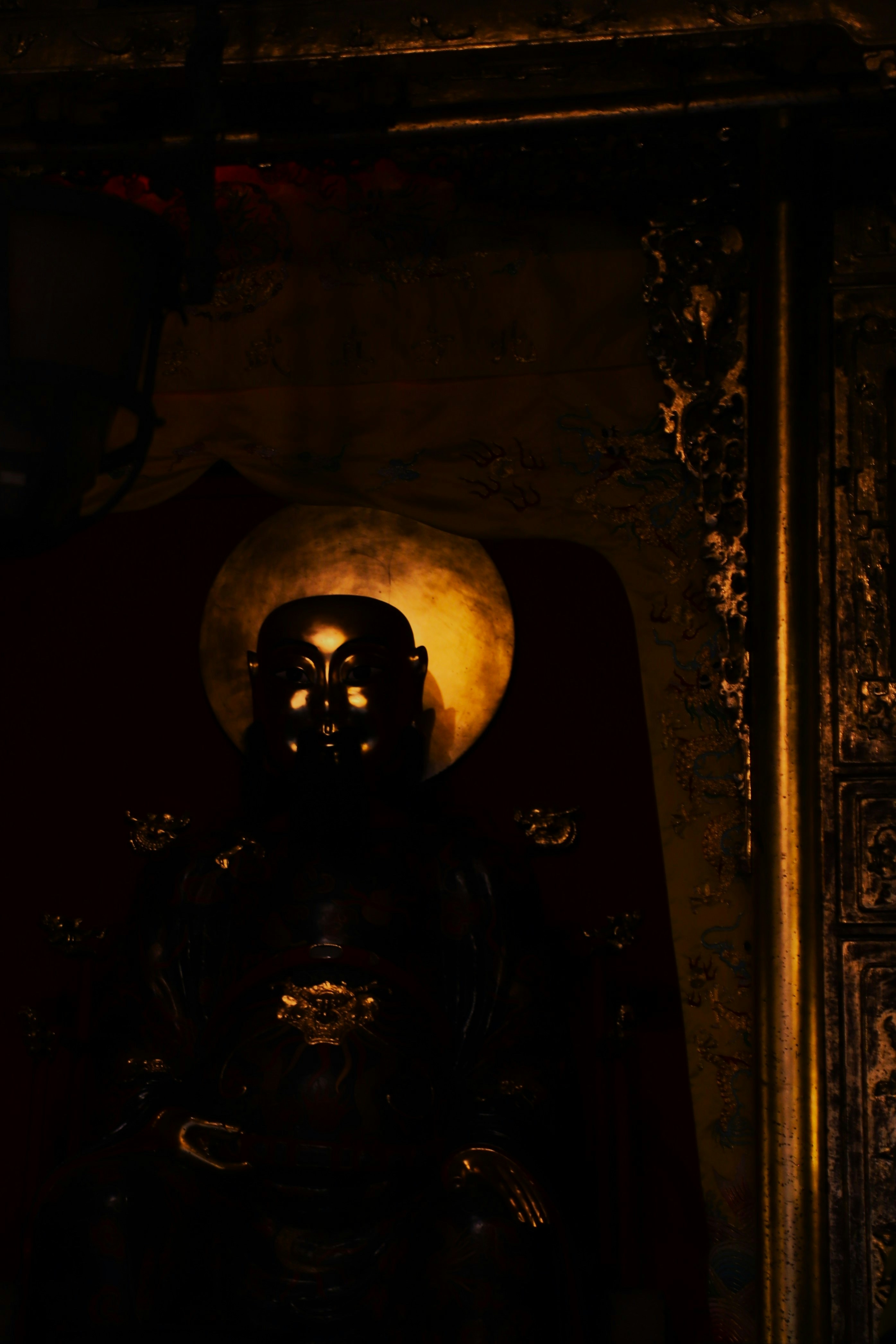 Photo by dark_knight_world