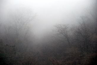 Fog enveloping a desolate forest at dusk, with ghostly shapes barely visible among the trees.
