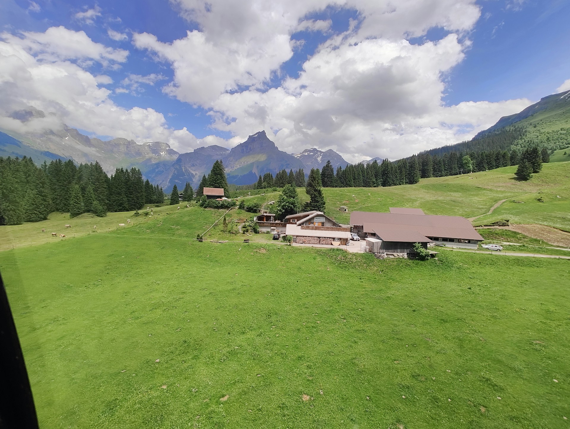 woman wearing yellow long-sleeved dress under white clouds and blue sky during daytime