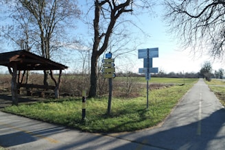 A peaceful corner of the school's green space with benches and educational signs about local flora.