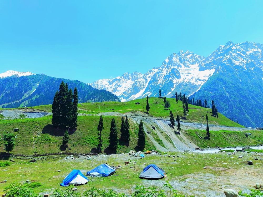 a group of tents set up on a grassy hill