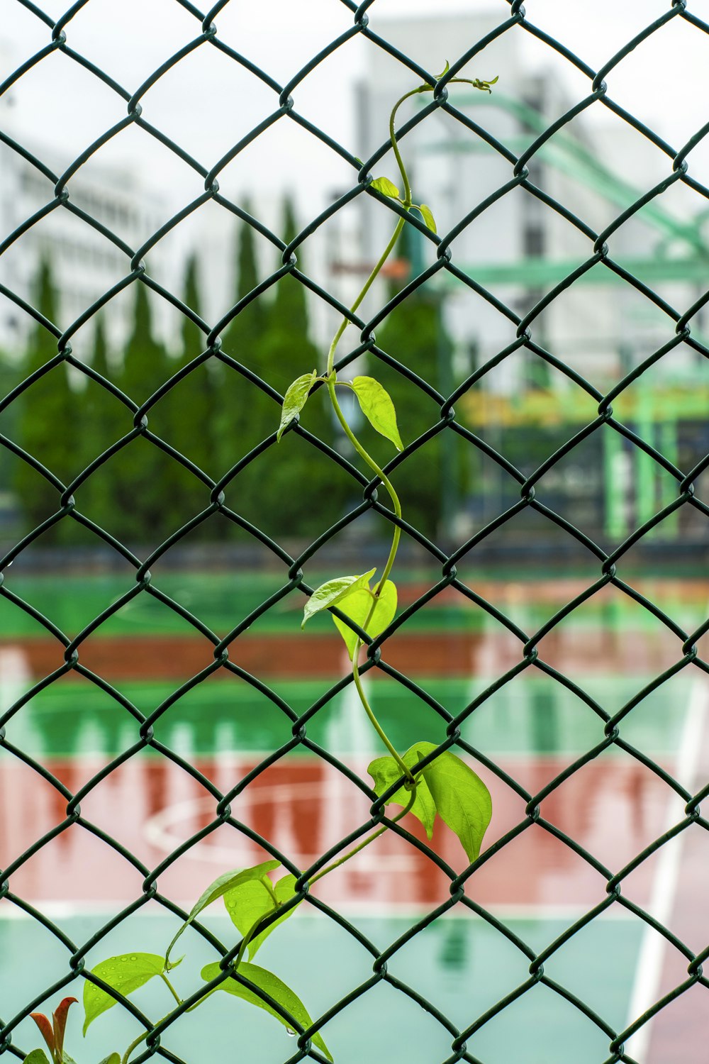 a tennis court behind a chain link fence