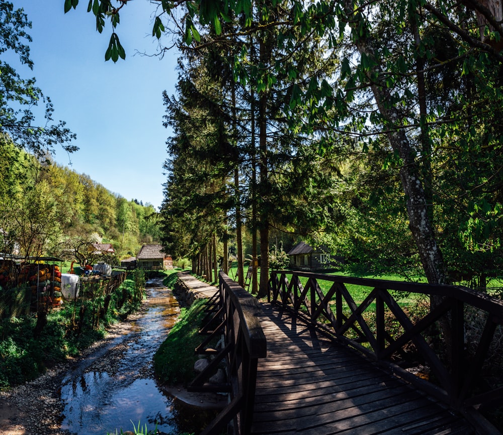 a wooden bridge over a small stream in a forest