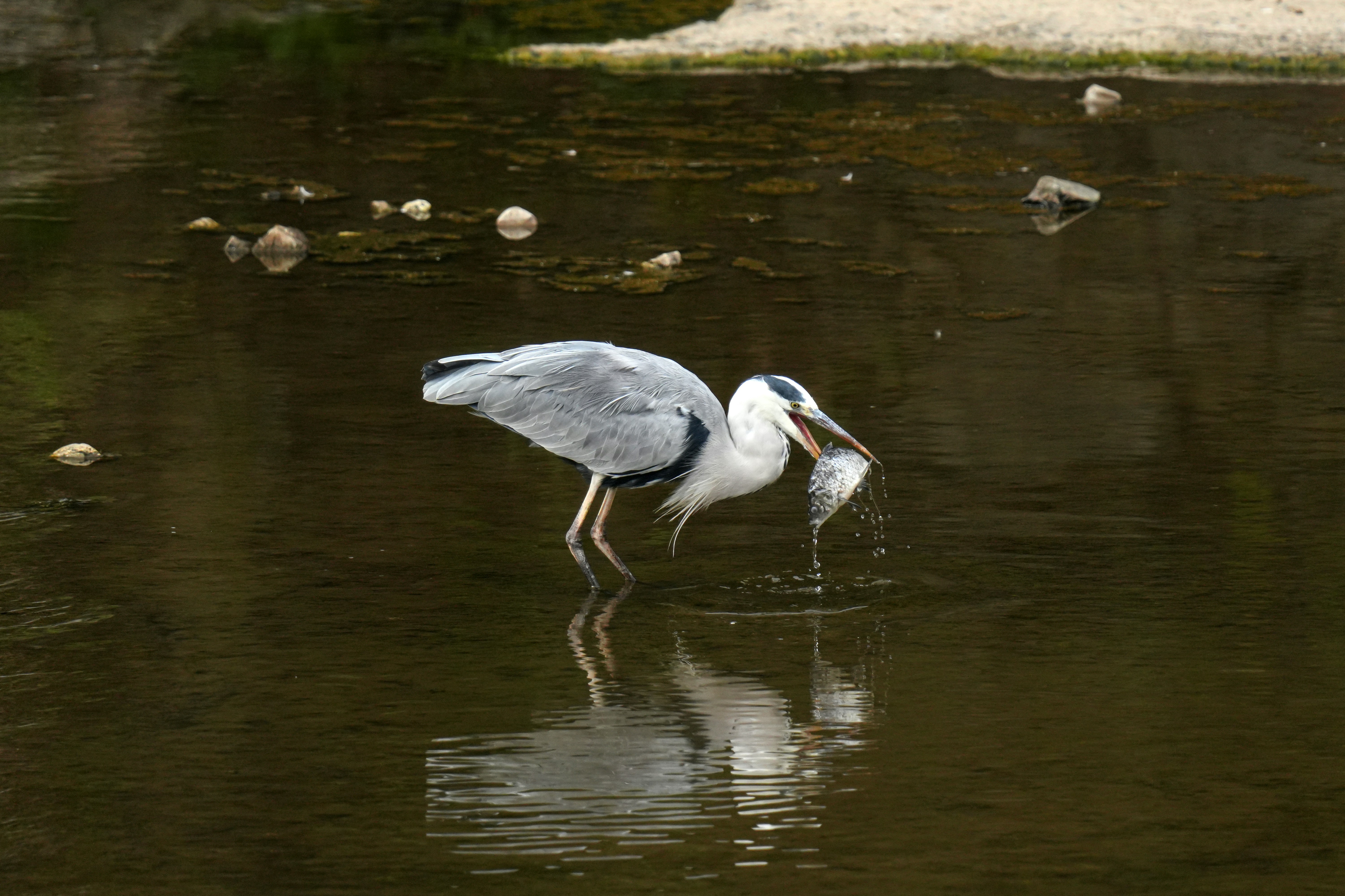 Photo by kim_dae_jeung