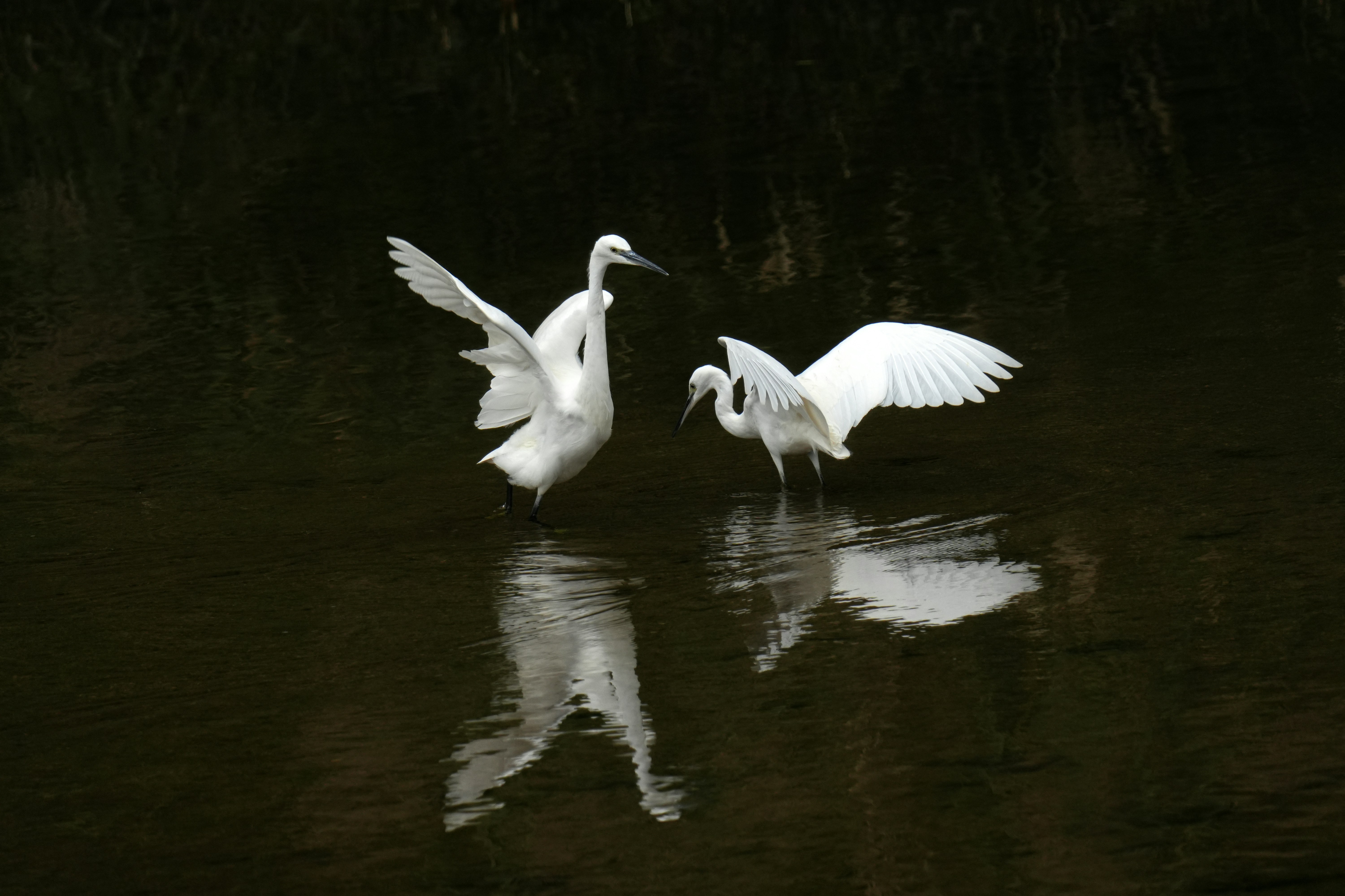 Photo by kim_dae_jeung