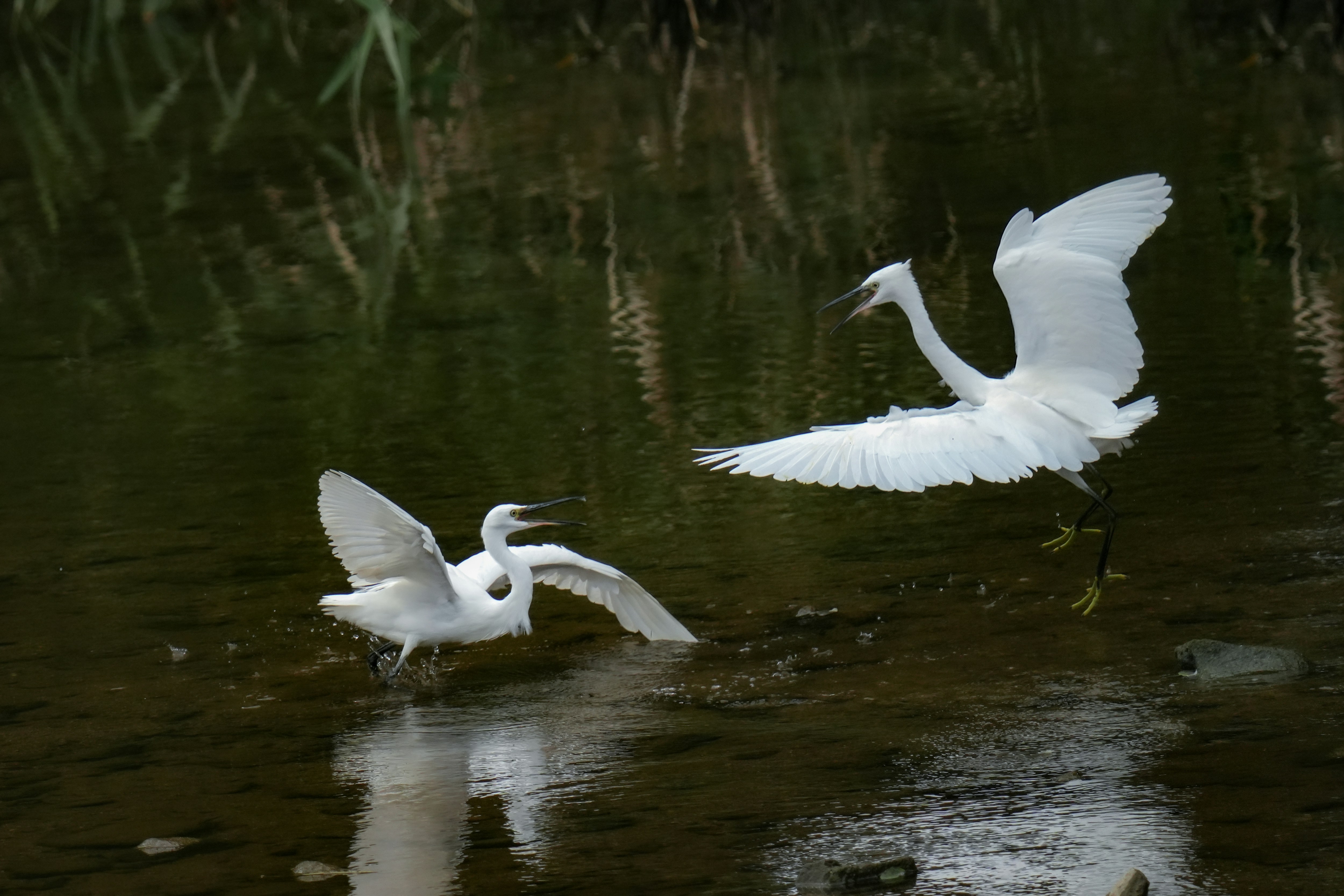 Photo by kim_dae_jeung