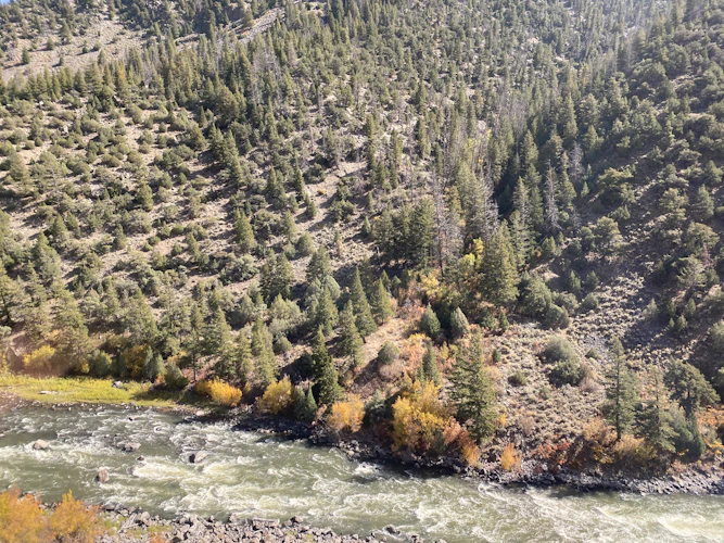 River winding through a forested Colorado mountain canyon