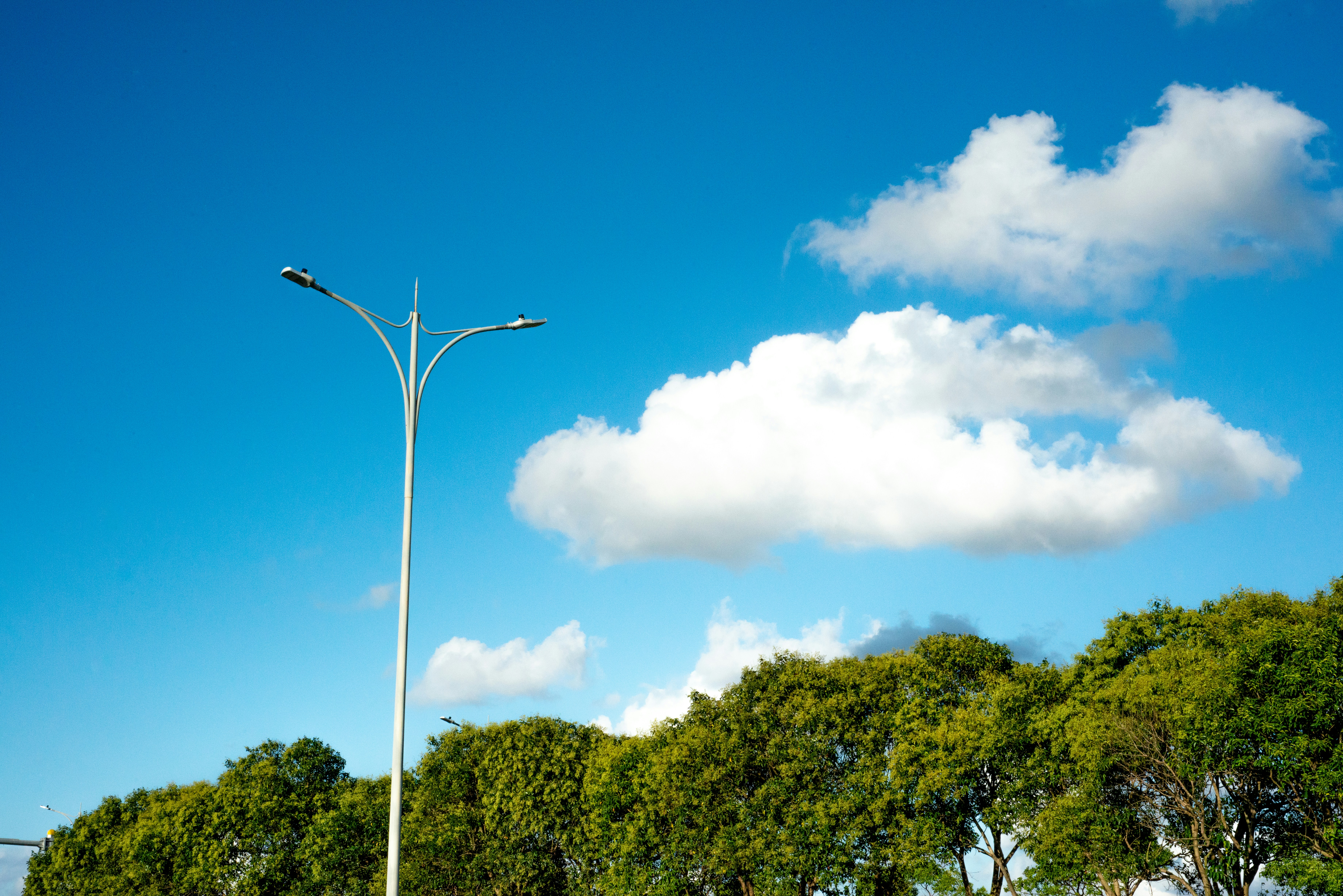 Photo by iamsocuriouswhythiswebsiteneedregister