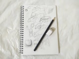 Hands sketching animal faces on a notebook with colored pencils.