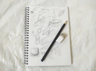 A close-up of Luna’s notebook filled with sketches and observations.