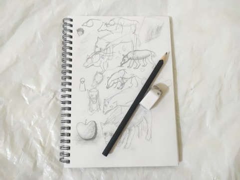 Hands sketching animal faces on a notebook with colored pencils.