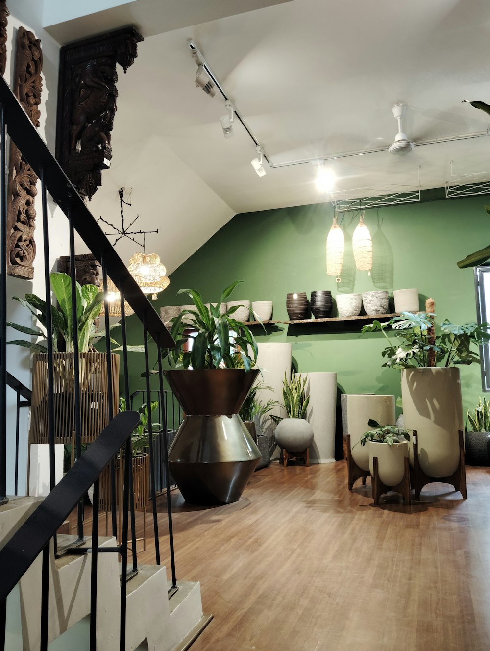 a room filled with lots of potted plants