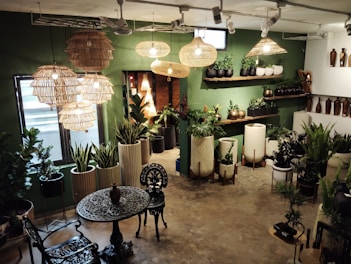 a room filled with lots of potted plants