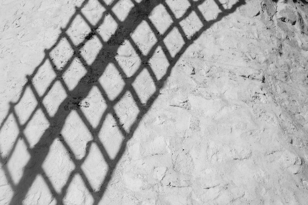 a black and white photo of a metal fence