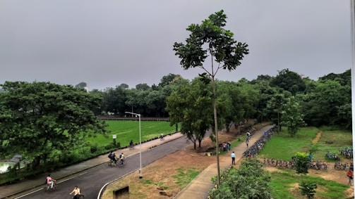 The Carrilet Greenway, a popular cycling path surrounded by nature.