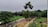 A lush, green, and expansive landscape with paved pathways. People are cycling along the paths while some are walking. Numerous bicycles are parked along the side, suggesting a popular cycling area. Tall trees and dense foliage create a natural canopy.
