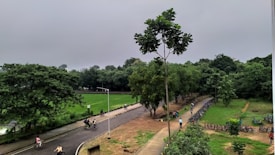 A lush, green, and expansive landscape with paved pathways. People are cycling along the paths while some are walking. Numerous bicycles are parked along the side, suggesting a popular cycling area. Tall trees and dense foliage create a natural canopy.
